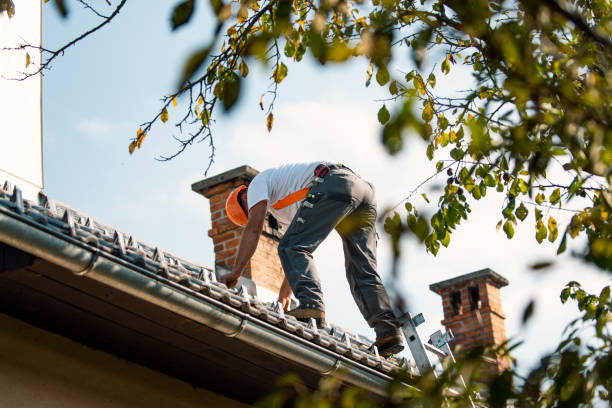 Best Storm Damage Roof Repair  in Palm Shores, FL