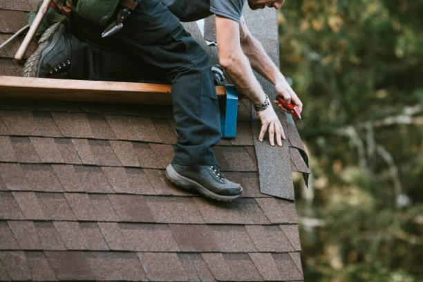 Quick and Trustworthy Emergency Roof Repair Services in Palm Shores, FL