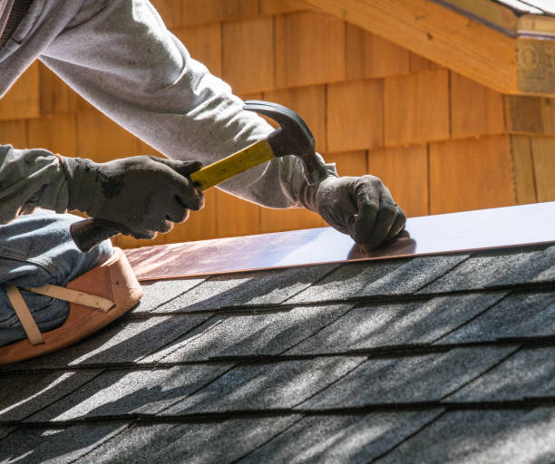 Best Roof Gutter Cleaning  in Palm Shores, FL